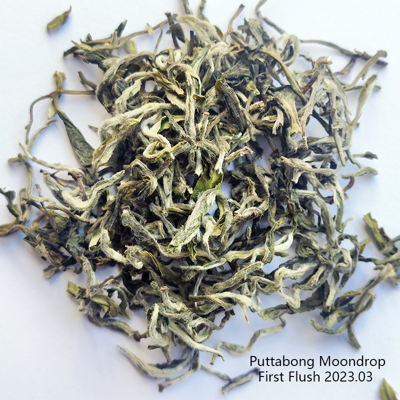 2024印度直送大吉岭春摘茶Puttabong Moondrop普塔邦茶园限量25g - 图0