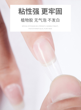 摩丹妮甲片粘合剂牢固灯光