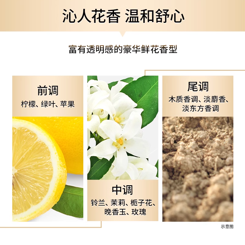 花王Essential the beauty睡醒不乱洗发水露护发素洗头膏控油蓬松 - 图1