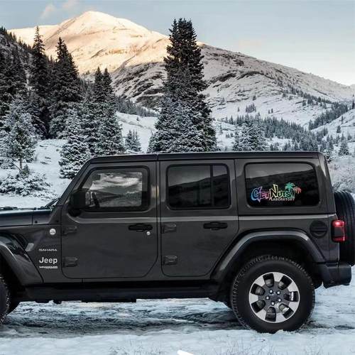 汽车贴纸个性花体Get Nuts椰子树前挡后挡风玻璃贴车窗贴电动车贴 - 图1