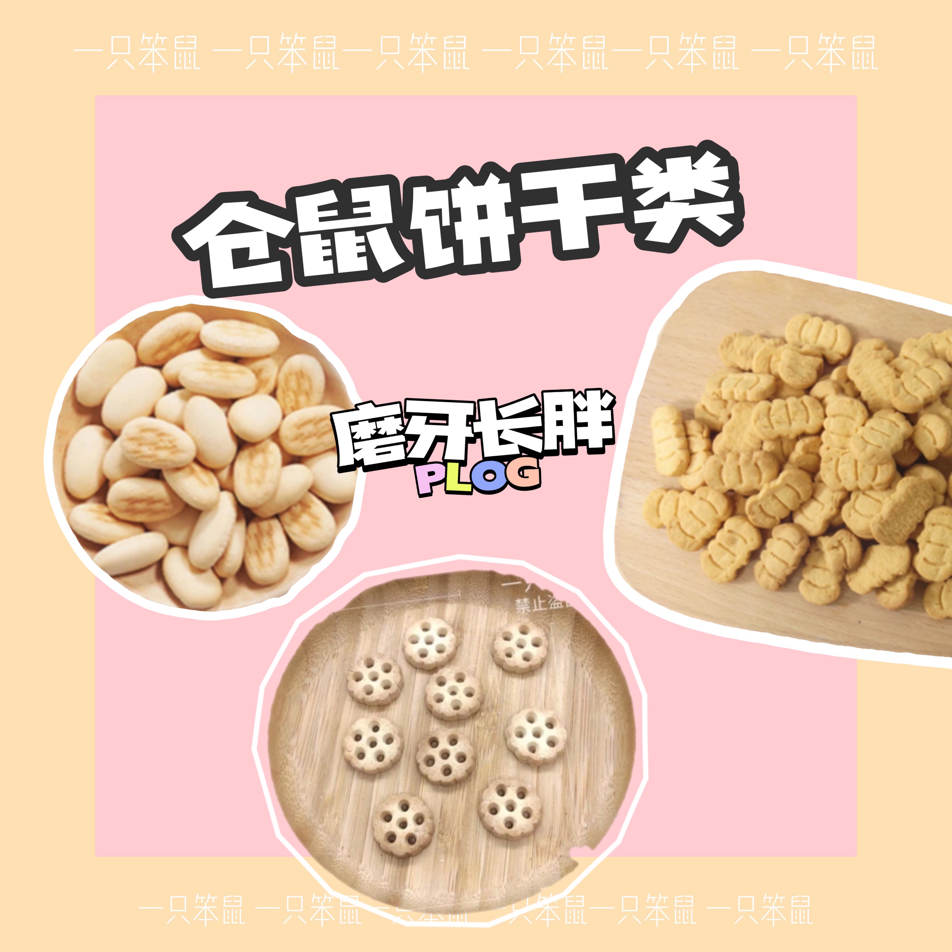 【一只笨鼠】仓鼠金丝熊花枝鼠小宠羊奶零食营养奶香饼干软面包 - 图2