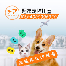 Shenzhen Pet Domestic International Consignment National Service Cat Dog Solo Air Transport Random Procedure Special Car Transport Door