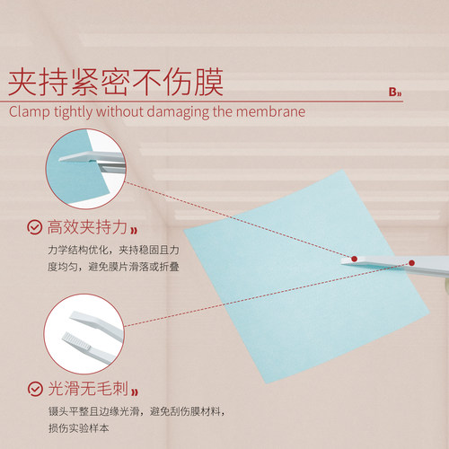 比克曼生物WB专用镊子实验专用碳纤维镊子WB转膜镊子实验室防静电 - 图1