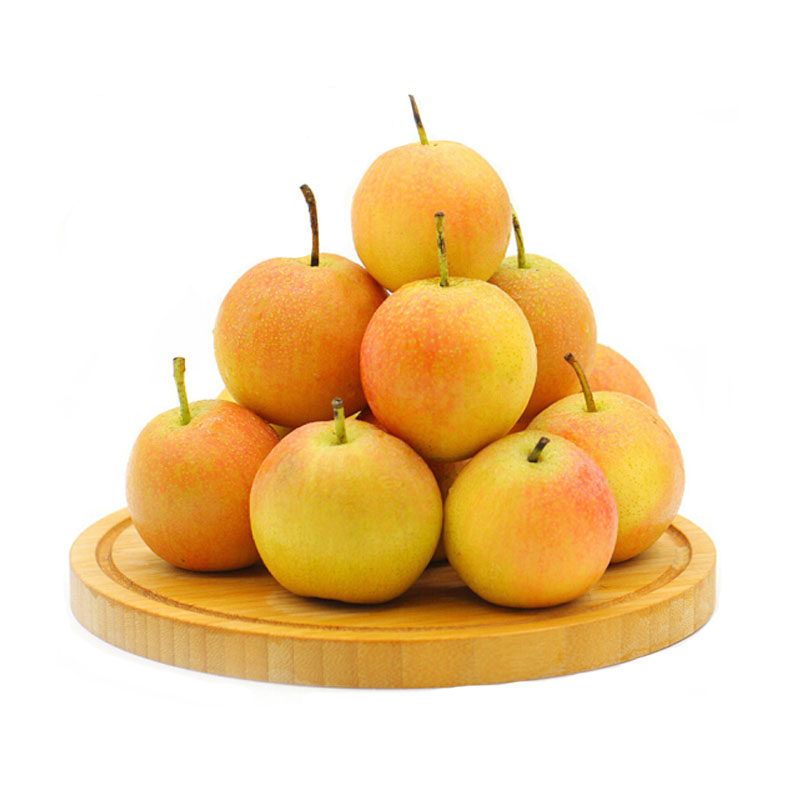 鞍山南果梨450g /盒