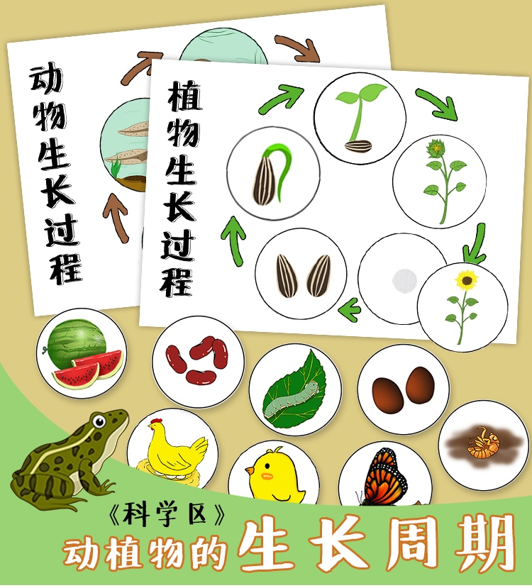 昆虫周期 新人首单立减十元 21年8月 淘宝海外 昆虫周期 新人首单立减十元 21年8月 淘宝海外