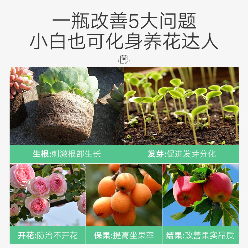 磷酸二氢钾花肥料家用钾养花种花复合肥绿植用花卉盆栽植物通用型 - 图0