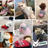 Осенние и зимние собаки и кошки, две фута одежда Тедди Бибели Бумеи маленькие собачьи щенки котенка