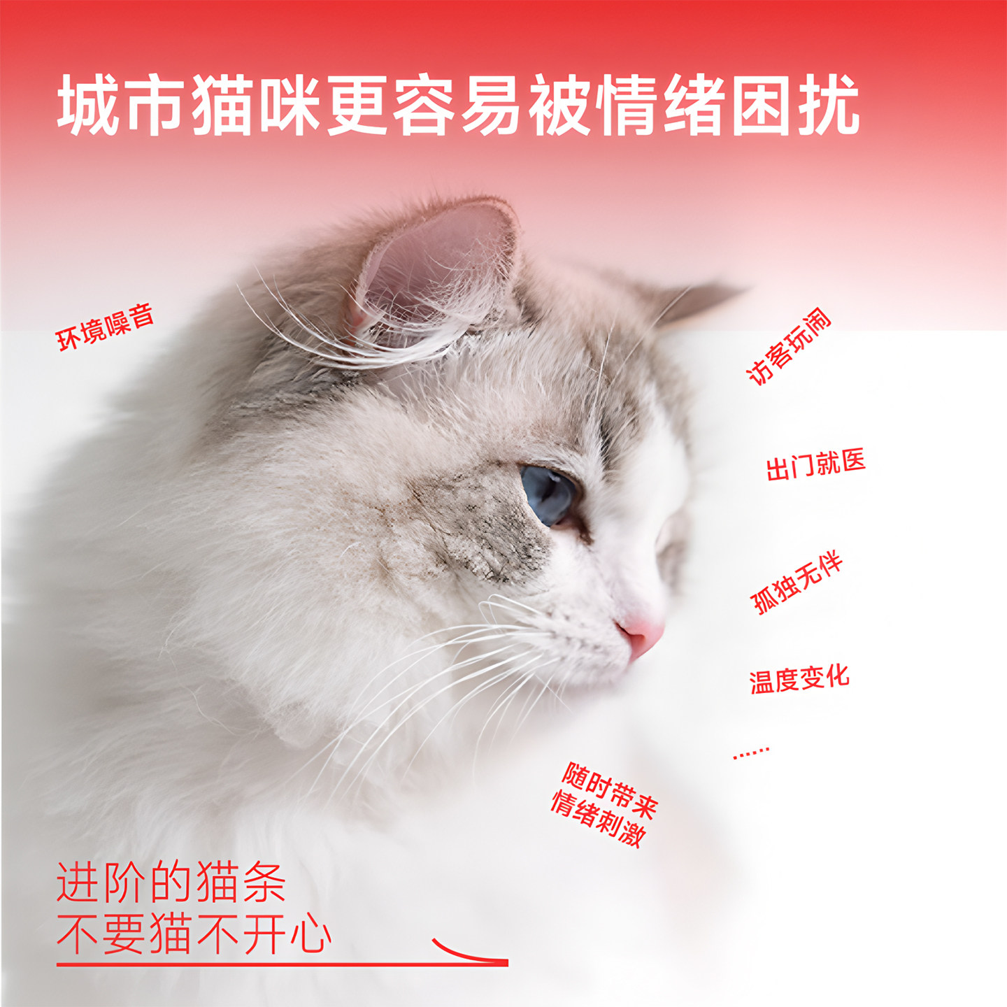 肥脸猫屋情绪猫条全价主食营养增肥鸡肉鸽肉羊奶金枪鱼14g*6条/袋,淘宝优惠券,粉丝福利购,淘宝优惠卷