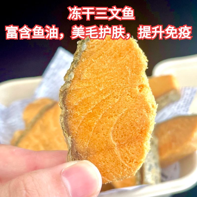 宠物冻干三文鱼块500g猫咪狗狗零食增肥发腮奖励训练成幼犬拌饭粮-图0