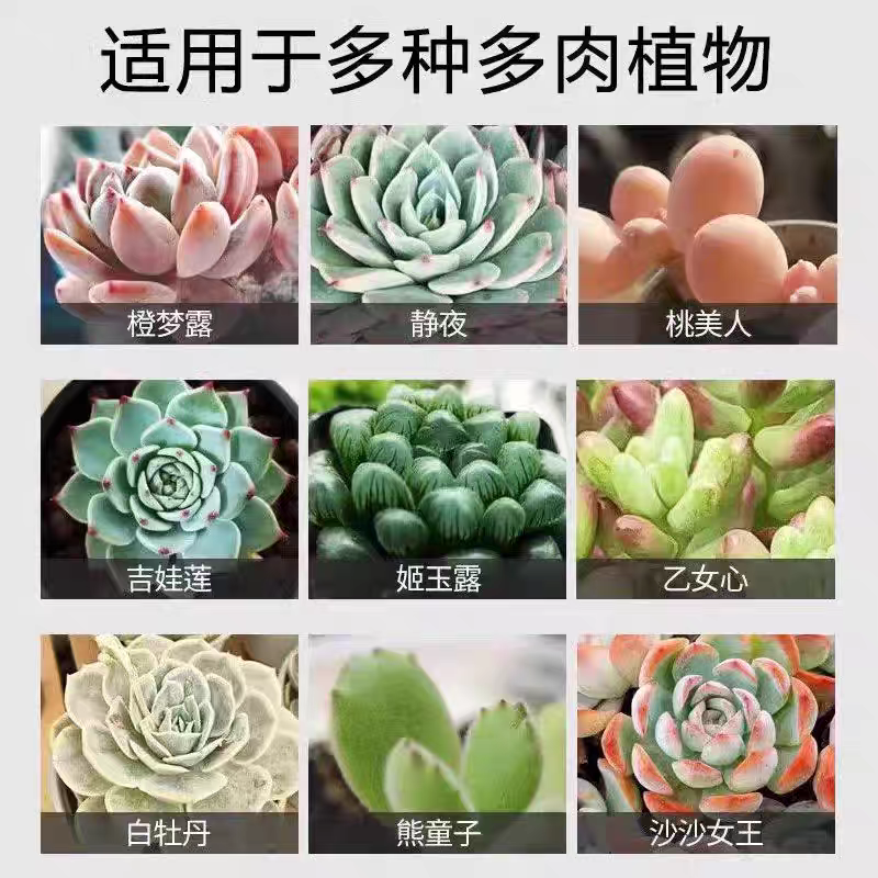 多肉白粉黑斑病专用杀菌植物通用增肥营养液肥料专用爆芽素营养液,淘宝优惠券,粉丝福利购,淘宝优惠卷