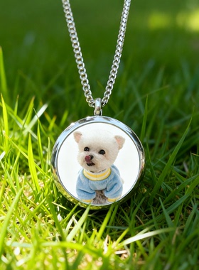 宠物生命纪念项链毛发骨灰保存