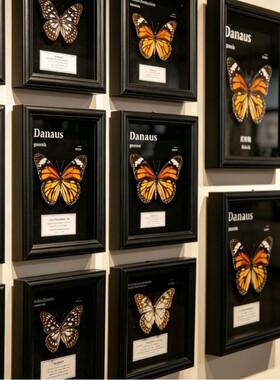 欧式中空蝴蝶标本相框干花昆虫diy展示盒木质画框高级感黑色相框