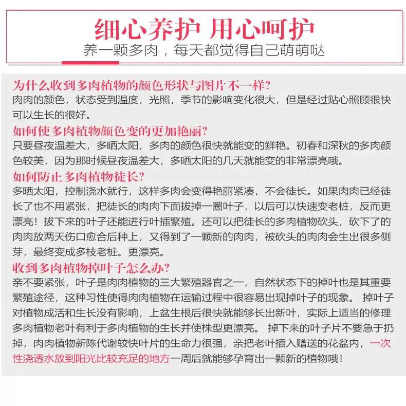 群生 老桩多肉系列  各种造型老桩多肉植物云南直发 新手专属多肉,淘宝优惠券,粉丝福利购,淘宝优惠卷