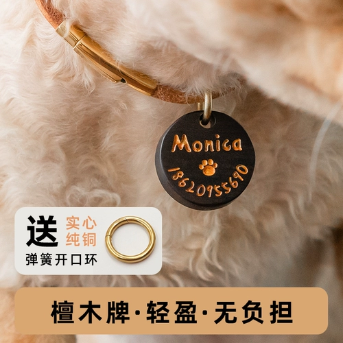 Бренд Pet Cat Бренд инкрустации букв идентификация бренда кошка защита потерян