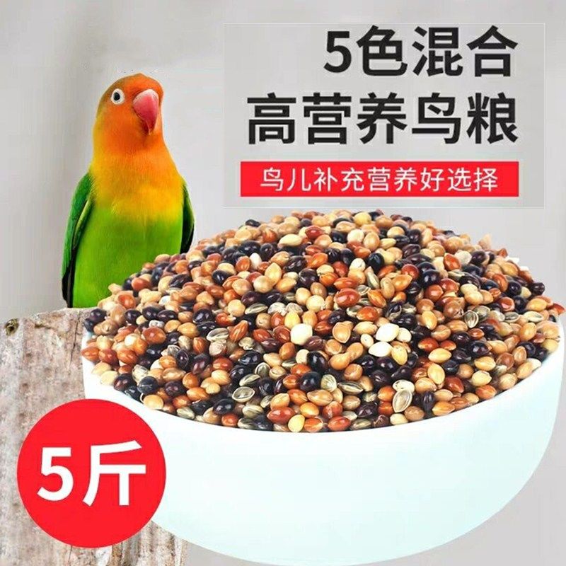 鹦鹉饲料混合五色黍子虎皮鹦鹉鸟食饲料玄凤黄谷子牡丹带壳小米 - 图0