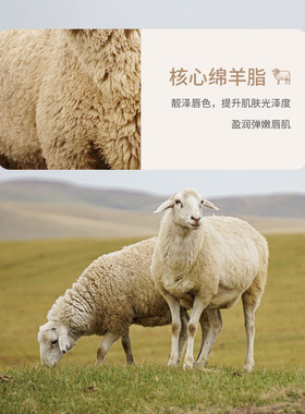 形象美绵羊油保湿润唇膏保湿保湿滋润提靓唇色唇部护理护唇膏
