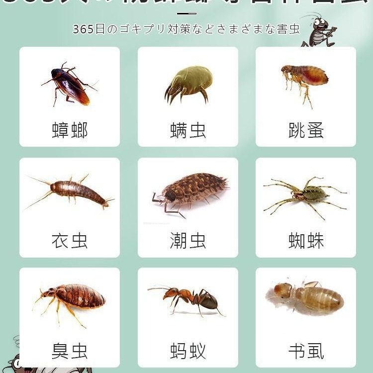 持久留香日本樟脑丸衣柜防霉防潮除味驱虫家用香包香薰衣柜持久,淘宝优惠券,粉丝福利购,淘宝优惠卷