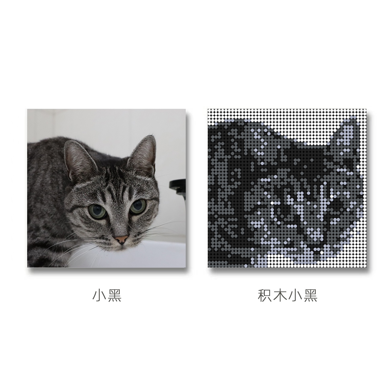 焦小店 宠物积木画定制像素画 宠物照片定制猫咪狗狗礼物定制装饰 - 图0