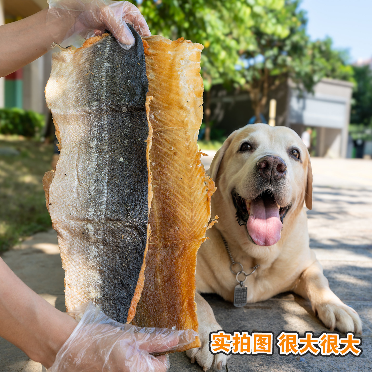 特大冻干带肉三文鱼皮宠物零食狗狗磨牙洁齿营养幼犬大狗奖励肉干,淘宝优惠券,粉丝福利购,淘宝优惠卷