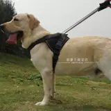 Сердень для груди собаки в середине -луче