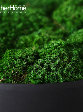 日式风植物茶桌摆件花盆创意装饰