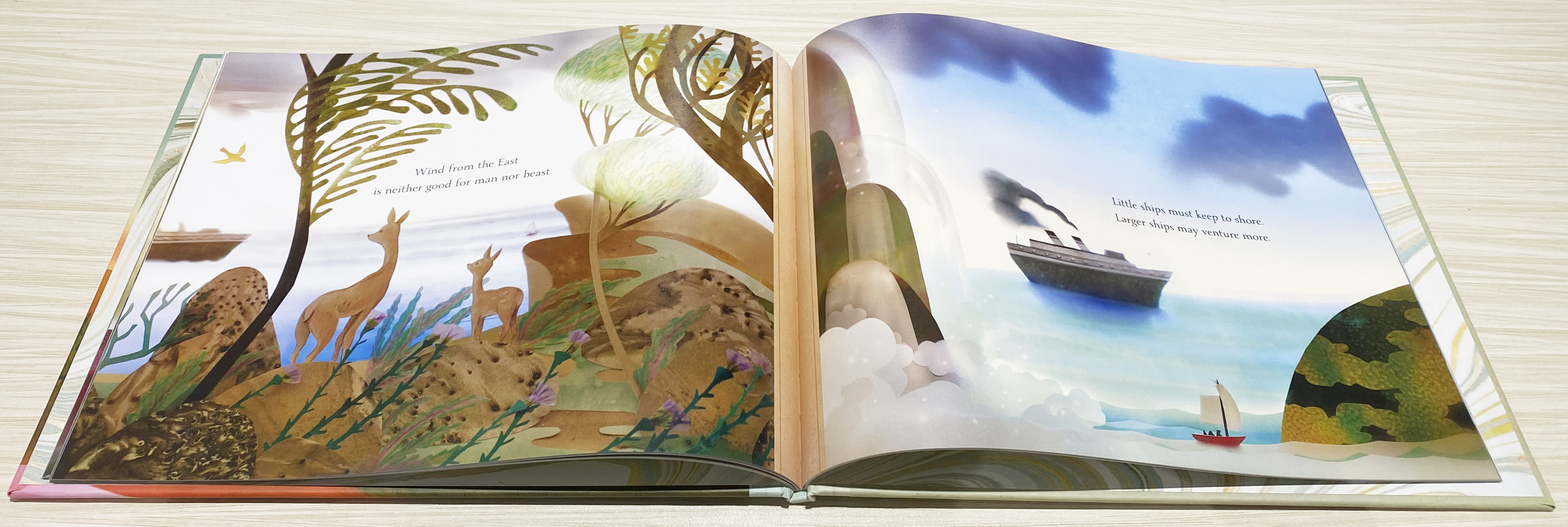 【自营】英文原版 Red sky at night 红色的晚霞 Elly MacKay 精装 故事书 人与自然 晚霞 美的启蒙 - 图2