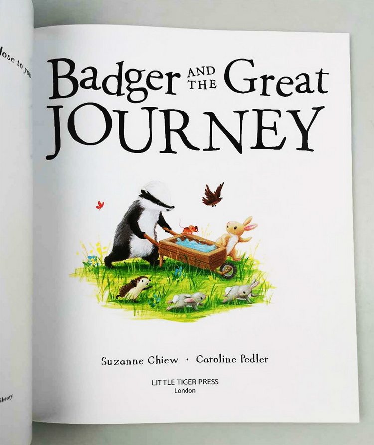  绿山墙图书科普读物原版书