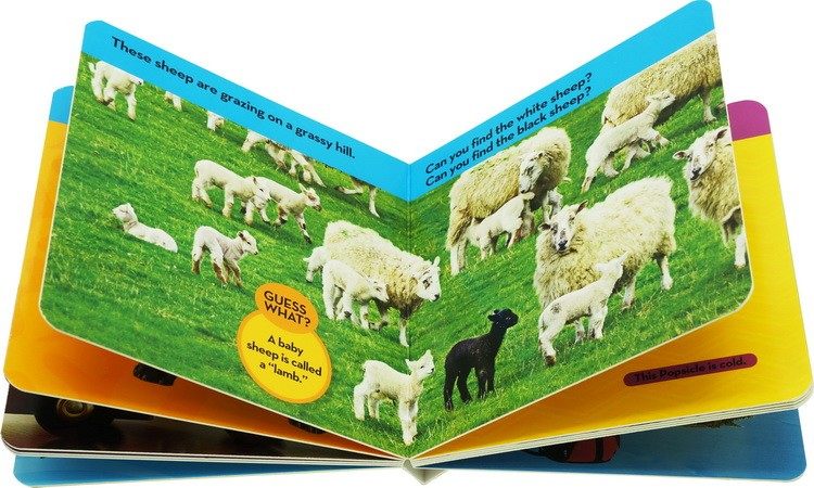 美国国家地理启蒙纸板书 National Geographic Little Kids Look and Learn 儿童百科书 全彩动物系列绘本 英文原版,淘宝优惠券,粉丝福利购,淘宝优惠卷