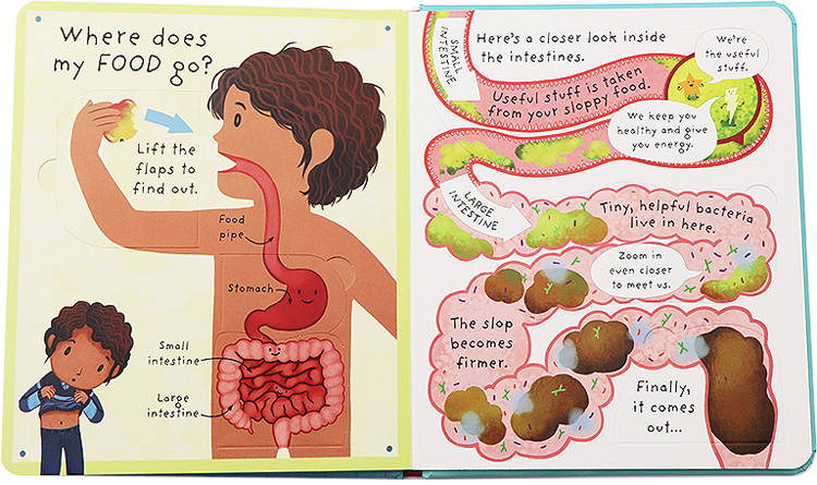 Usborne Lift the flap What's inside me？你问我答翻翻书 我们身体里有什么？英文原版绘本 儿童科普读物纸板翻翻书