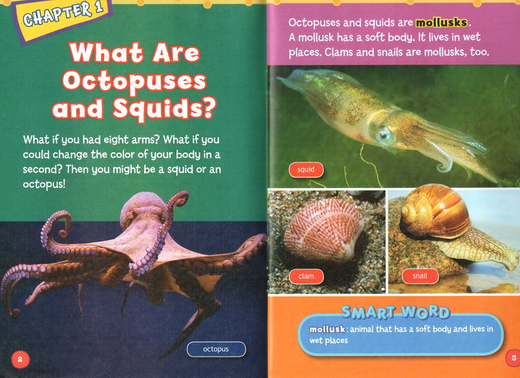 英文原版 Smart Words Beginning Reader Ocean Animals octopuses and Squid STEM百科科普 海洋动物专业词汇 小学生轻松学单词 - 图0