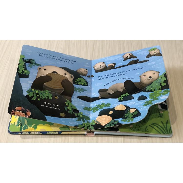 Usborne Peep Inside the Seashore 偷偷看里面系列 海岸 英文原版洞洞书 儿童启蒙纸板机关翻翻书 边玩边学 尤斯伯恩