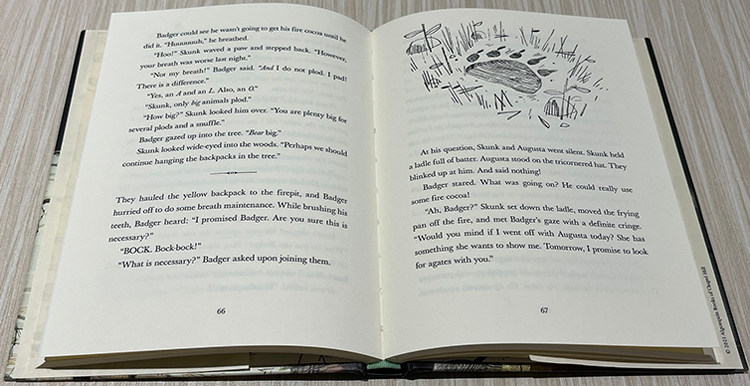 英文原版skunk and badger 2 獾臭鼬 绿山墙图书儿童读物原版书