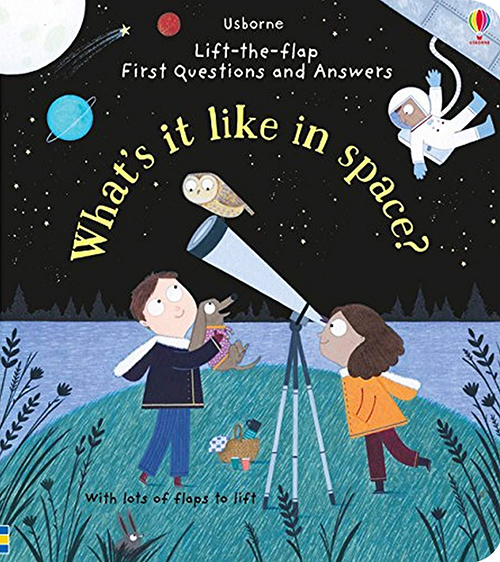 预售 Usborne What's it Like in Space 太空有什么 英文原版 纸板翻翻书 你问我答  Lft The Flap First Questions and Answers