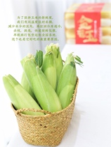 Now Remove Now Fresh Burst Berries Fruit Sweet Corn Early Morning Pick Up Early Flight Air Transport