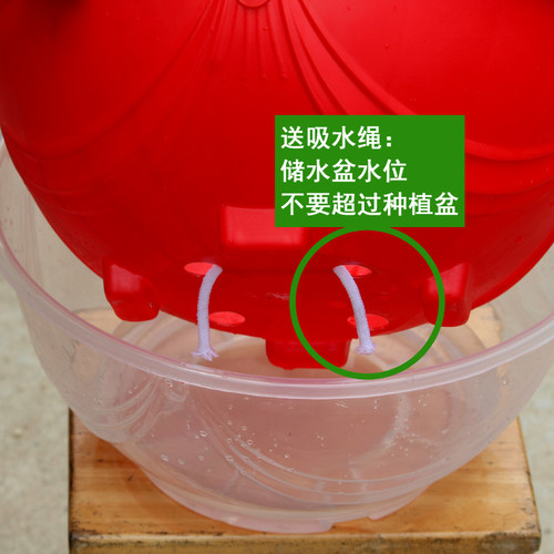 盆栽水培植物 绿萝花盆透明自吸水外盆塑料大 储水懒人盆室内包邮 - 图2