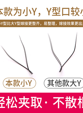 y型嫁接睫毛郁金香开花yy编织爱情网状一秒自动山茶花软过水貂毛