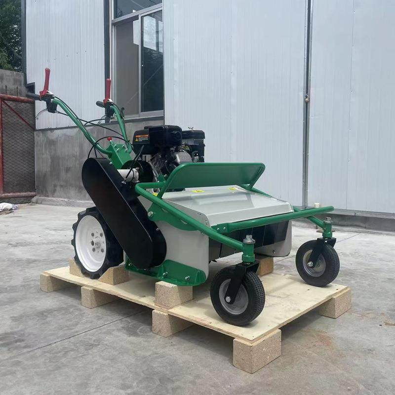 汽油手扶割草机 自走式灭草机 园林杂草碎草机,淘宝优惠券,粉丝福利购,淘宝优惠卷