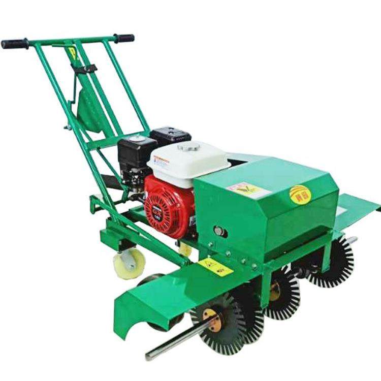 手推式草坪划线机手推草皮移植割线机草坪基地切线机,淘宝优惠券,粉丝福利购,淘宝优惠卷