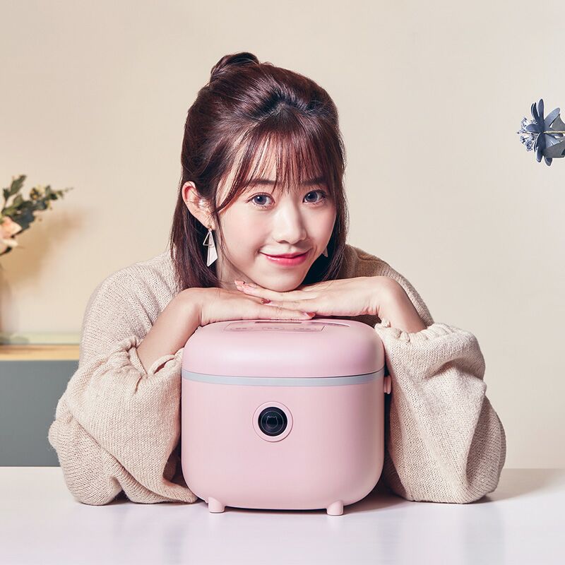 小熊永维专卖店小熊电饭煲家用2L迷你电饭锅小型1-2人3智能多功能学生煮饭锅正品3