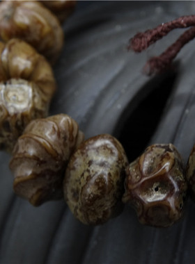 佛手龙骨单圈菩提子原籽