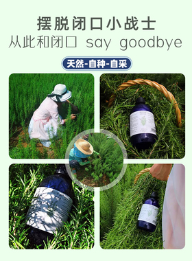 马鞭草酮迷迭香纯露520ml马迷喷雾湿敷水闭口粉刺痘痘毛孔黑头886