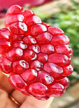 红石榴纯露500ml嫩肤补水提靓弹