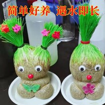 Creative Grass Head Dolls Small Plant Potted Indoor Tabletop Mini Christmas Presents Good Green Wheat Cat Grass Cute