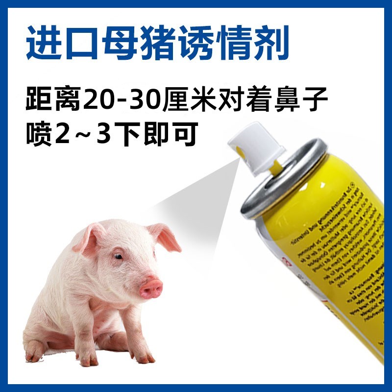 母猪诱情济猪用配种公猪气雾气味剂排卵刺激母猪发情喷雾兽用喷剂 - 图0