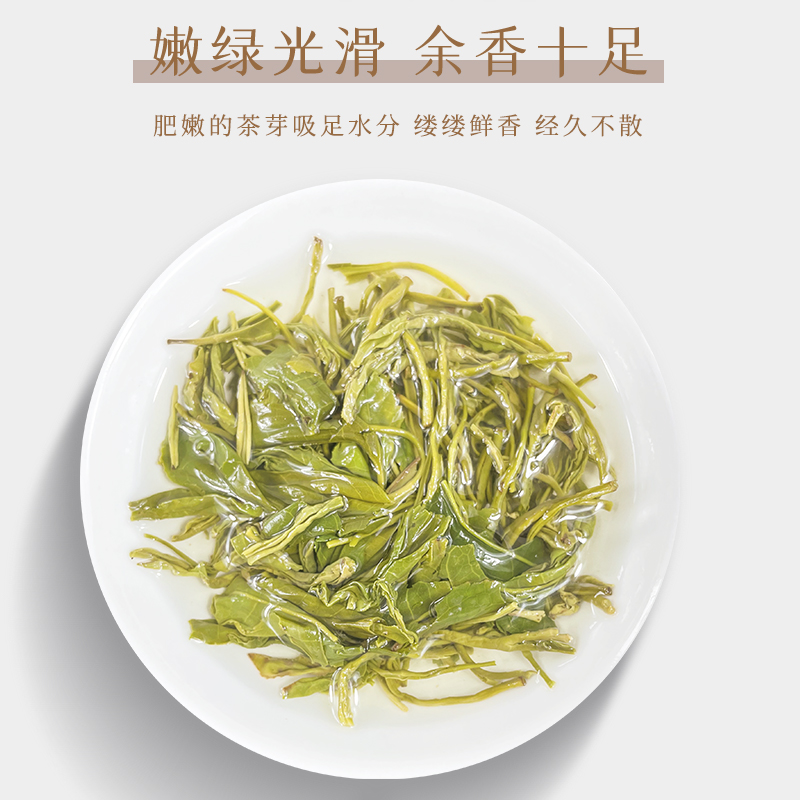 广东紫金绿茶2023新茶高山云雾炒青绿茶明前春茶特级散装500g包邮