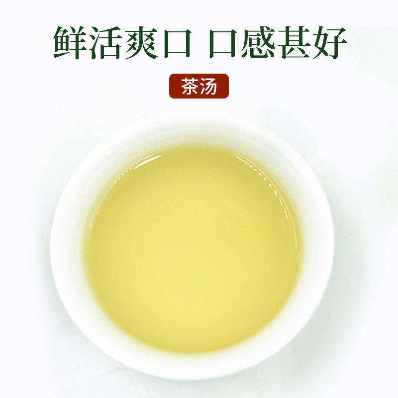 柏塘山茶高山云雾绿茶炒青茶叶客家手工绿茶惠州博罗特产500g包邮