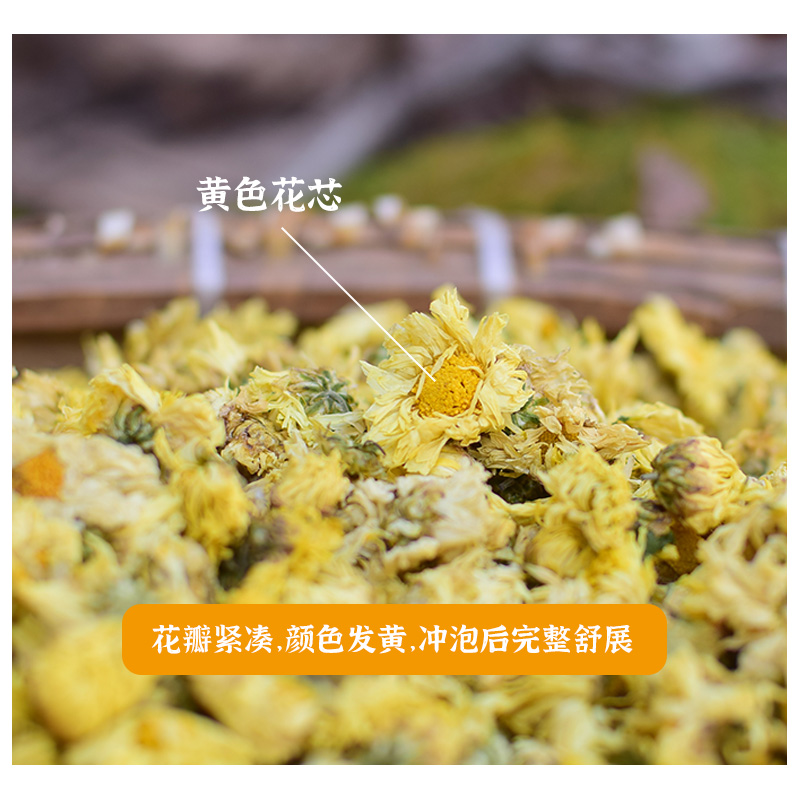 杭白菊特级正品 正宗浙江桐乡杭白菊250g 新货无硫精品头茬朵菊花 - 图0