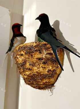 轻奢趣味燕子窝摆件 通用带粘贴