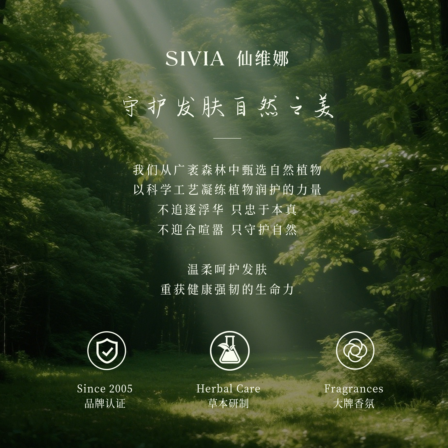 仙维娜橄榄去屑柔顺洗发水持久留香清爽控油洗发露洗头膏男女正品