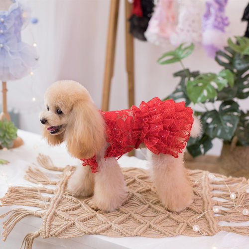 JLSC原创手工烈艳红宠物连衣裙猫狗婚纱小型犬夏狗衣服泰迪比熊 - 图1